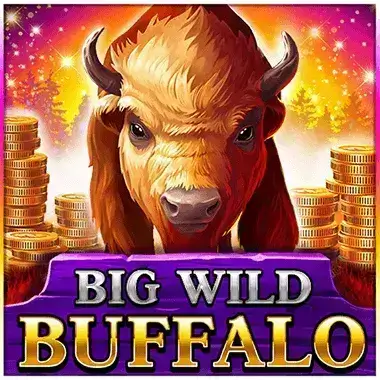 Graj Big Wild Buffalo Firebal casino